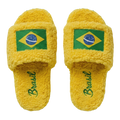 Flagza Brazil Slides